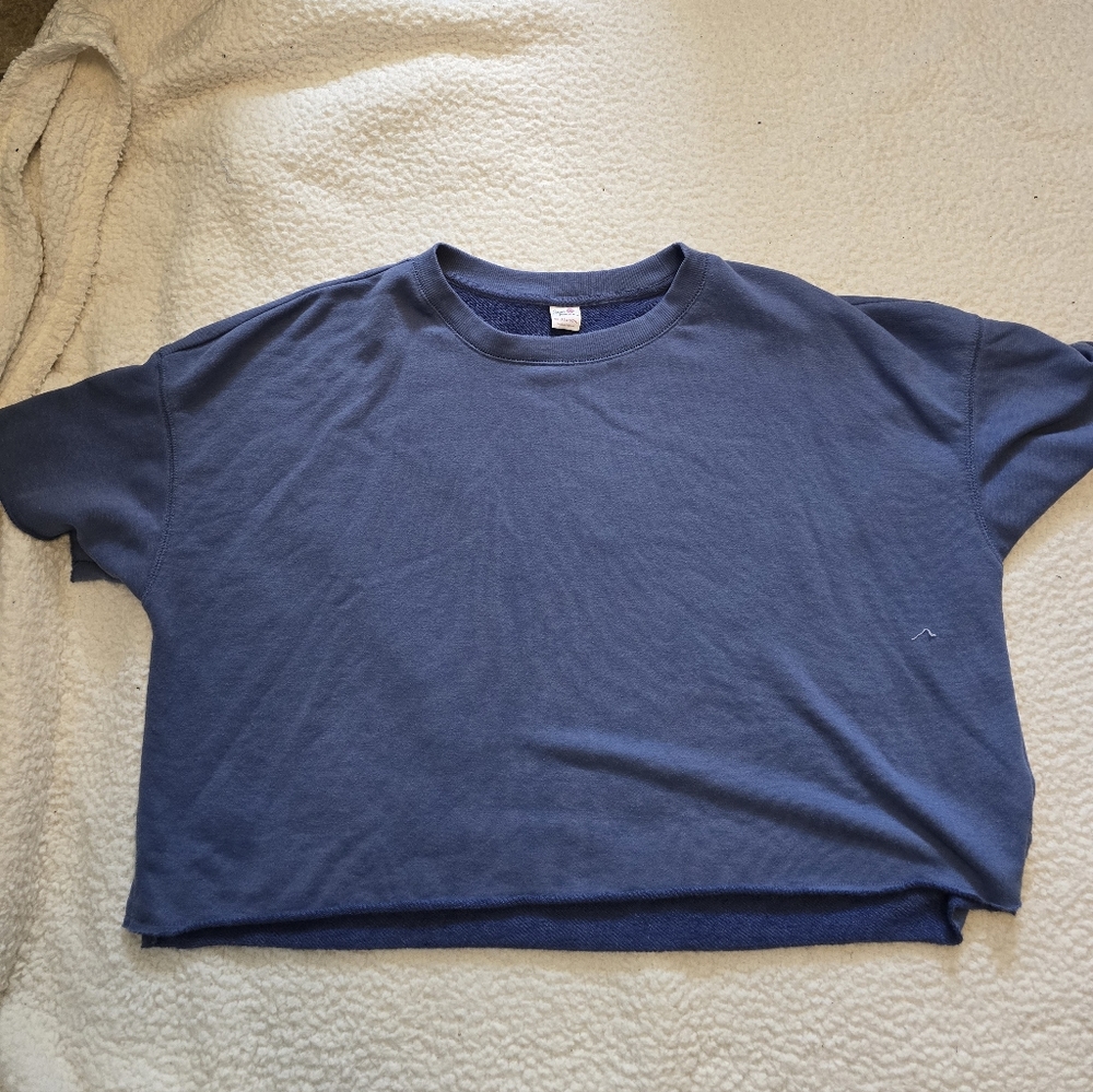 Blue crop top